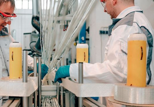 Verstärkung von der Rolle! Hier bereiten zwei Experten vom Fraunhofer IWU in Chemnitz einen Pultrusionsprozess vor. Erfahren Sie hier, was sich in letzter Zeit bei diesem wirtschaftlichen Herstellungsverfahren für faserverstärkte Kunststoffprofile so alles getan hat ...(Bild:  Fraunhofer IWU)
