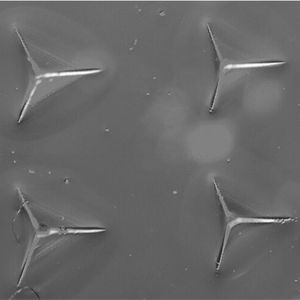 (BMF – Boston Micro Fabrication)