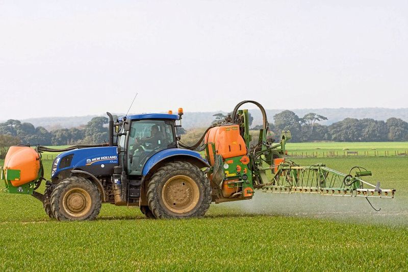 Auf Grund seiner gesundheitsschädlichen Eigenschaften wurde Hexachlorbenzol (HCB) in der Europäischen Gemeinschaft 1981 für die landwirtschaftliche Verwendung (Fungizid) verboten. (Symbolbild)