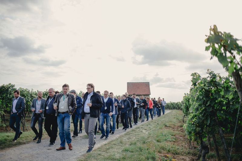 Angeführt von Wasilij Geist, Marco Schopp, Thomas Brandt (Kaspersky Lab), Rainer Lohmeier (Systec) und Anton Braun (Bizteam) geht es nun zu Fuß durch das Weinanbaugebiet. (connyschoeffmann_Kaspersky Lab)