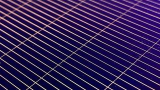 So sehen die Leiterbahnen auf einer Photovoltaikzelle aus. Sie sind bisher aus teurem und seltenem Silber. Die Versorgung ist bei steigender Nachfrage für Solartechnik fraglich. Forscher aus Freiburg können Silber nun durch günstiges Kupfer ersetzen. Das hat mehrere Vorteile. (Bild: Fraunhofer ISE)