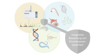 Abb.1: Integrierte Bewertung von Grundwasser durch chemische und effektbasierte Analysen mit paralleler Bewertung der Grundwasser-Biozönose (Bild: MWAS)