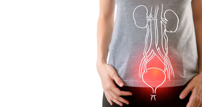 Harnwegsinfektionen (HWIs) zählen zu den häufigsten Gesundheitsproblemen weltweit und betreffen jedes Jahr Millionen von Menschen. Sie sind nicht nur schmerzhaft, sondern stellen auch eine besondere Herausforderung dar, da sie häufig wiederkehren. (Symbolbild)(Bild:  mi_viri - stock.adobe.com)