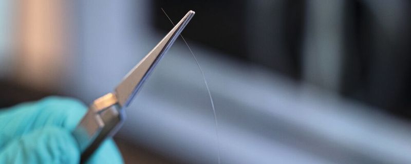 Ein ultradünner Nitinol-Draht aus der Nähe(Bild:  Zeiss IQS)