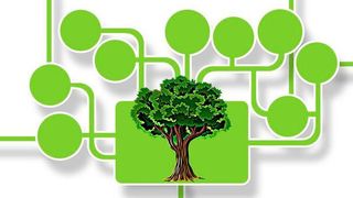 Die digitale Transformation bietet enormes Potenzial für nachhaltige Entwicklungen. (Bild: frei lizenziert)