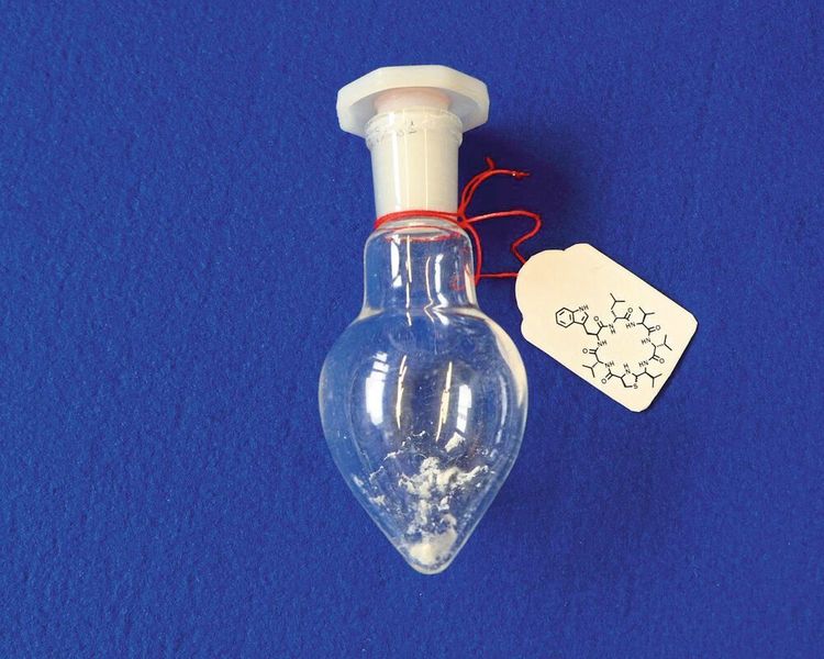 Im Labor synthetisiertes Lugdunin im Glaskolben (Universität Tübingen, Sebastian N. Wirtz)