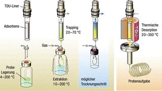 Abb. 1: Schema des dynamischen Headspace-Prozesses  (Bild: Gerstel)