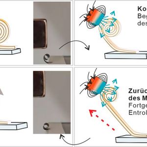 So muss man sich das Funktionsprinzip der keramischen Mikrorolle vorstellen, die per Magnetfeld kontrolliert aufgerollt werden kann. Das winzige Ding entwickelt dabei Kräfte, die zig-Mal dessen eigenes Gewicht tragen können, wie die Forscher aus Stuttgart betonen.(Bild:  Universität Stuttgart / IMW)