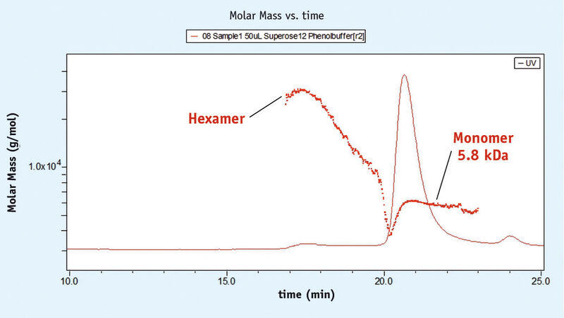 Abb. 2: Plot Molmasse gegen Zeit, Probe 1: Das UV-Signal bei 280 nm ist darüber gelegt, Ermittlung der Molmassen mit Daten aus RI- und LS-Messungen. (Bild: Wyatt)