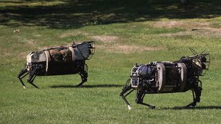 BigDog ist ein dynamisch stabiler vierbeiniger Laufroboter, der von dem Robotik-Spezialisten Boston Dynamics im Auftrag der DARPA entwickelt wurde. (Klicken zum vergrößern) (Bild: Flickr/Gordon Tarpley/CC BY 2.0)