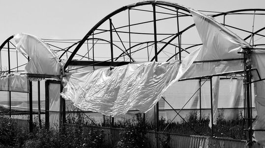 According to the Food and Agriculture Organisation of the United Nations (FAO), over twelve million tonnes of plastic are integrated into the agricultural process every year. According to the Food and Agriculture Organisation of the United Nations (FAO), over twelve million tonnes of plastic are integrated into the agricultural process every year.