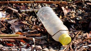 Gigantische Mengen von Plastik verschmutzen die Weltmeere. Um bereits Schüler für das Thema zu sensibilisieren, stellen Forscher und Pädagogen nun Lehrmaterialien bereit. (gemeinfrei)
