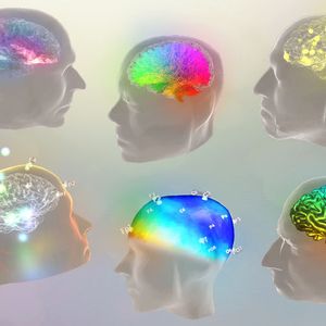 The Virtual Brain ist eine Open-source-Software zur personalisierten Simulation von Gehirnen.