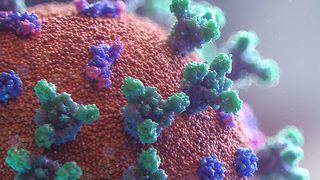 In der Vusialisierung nett anzusehen, als unsichtbarer Gegener totbringend und brandgefährlich für die Wirtschaft.  (Bild: Fusion Medical Animatio auf /Unsplash)