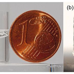 Links: PEGDA-basierte Proben mit zwei Farbstoffdepots (39,4 nl und 19,7 nl) zur Demonstration der zeitverzögerten Freisetzung. Nach 14-tägiger Einlage in Reinwasser haben sich die Depots im Vergleich zu einer trocken gelagerten Probe deutlich verändert. Der Farbstoff hat sich deutlich in der Probe verteilt, ohne die Probengrenzen bzw. eine vollständig homogene Verteilung in der Probe zu erreichen. Rechts: zentrales Coomassie Blue gefärbtes BSA-Depot.(Bild:  Universität Rostock)