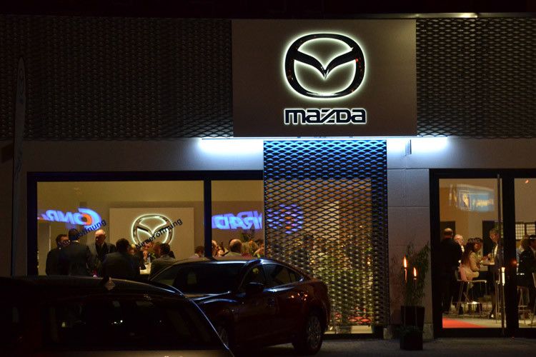 Vor der Hintergrundbeleuchtung erscheinen sie nachts schwarz. (Foto: Mauritz)