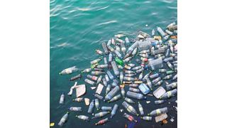 Plastikmüll zerfällt im Meer nach und nach zu Mikroplastik. Darauf siedelt sich u.a. Plankton an (Symbolbild). (gemeinfrei, MonicaVolpin)