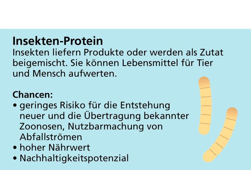 Neuartige Proteinquellen 2) Insekten-Protein Hürden: Allergien; mikrobielle Risiken; Akkumulation von Kontaminanten; geringe Verbraucherakzeptanz Chancen: Geringes Zoonosen-Risiko; Abfallströme für Insektenzucht (Futtermittel) nutzen; hoher Nährwert; nachhaltiger als Tierzucht  (Bild: DGE)