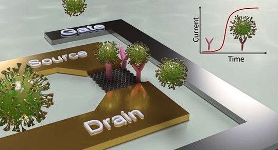Schematischer Aufbau eines Sensors zu Detektion von viralen Erregern Schematischer Aufbau eines Sensors zu Detektion von viralen Erregern