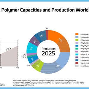 Weltweite Kapazitäten und Produktion biobasierter Polymere 2025(Bild:  Nova-Institut)
