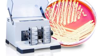 Ein neuer Adapter ermöglicht den simultanen Zellaufschluss von bis zu 8 x 30 ml Zellsuspension (Retsch)