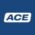 online-logo-256px-ace-white-rgb (ACE Stoßdämpfer GmbH)