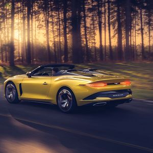 Angetrieben wird der Bacalar von einem W12-Motor mit 485 kW/659 PS und 900 Newtonmeter Drehmoment.(Bild:  Bentley)