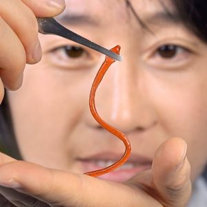 Die Forscher können sich zahlreiche Anwendungen in der Industrie oder Biomedizin vorstellen, nämlich immer dann, wenn ein Gerät reibungslos durch etwas Festes gleiten soll. 