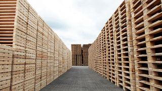 Holz für Paletten ist mittlerweile knapp und teuer.  Bild: HPE (Archiv: Vogel Business Media)