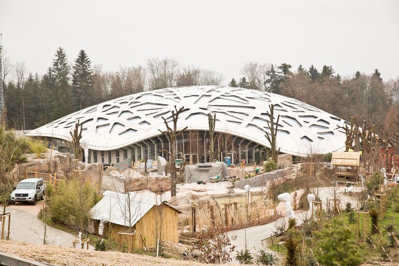 Bild 1: So groß wie ein Fussballfeld ist die überdachte Fläche des nachhaltig geklebten Elefantenhauses im Zürcher Zoo. (Bild: Henkel)