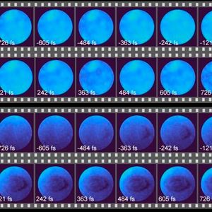 The researchers used the new technique to observe femtosecond laser–induced carrier dynamics in ZnSe. The images show the spatiotemporal evolution of the intensity (top images) and phase (bottom images). Notably, the phase variations are significantly more pronounced than the intensity fluctuations.(Source:  Yunhua Yao, East China Normal University)
