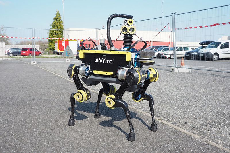 Auch auf Offshore-Plattformen wurde er bereits getestet und sucht jetzt erstmals richtige Arbeit.  (Anybotics)