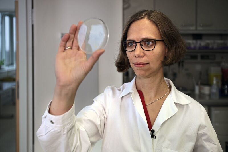 Prof. Dr. Karen Alim in ihrem Labor  (Bilderfest / TUM)