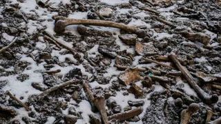 Skeletal remains are mysteriously scattered on the shores of Roopkund Lake, in the Himalayas. (Himadri Sinha Roy)