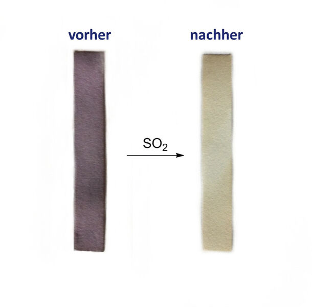 Abb.2: mit Wasserstoffperoxid-Lösung vorbehandeltes Kaliumiodid-Stärke-Papier (l.); Entfärbung des Teststreifen nach Überleiten von Schwefeldioxid (r.) (Bild: Uni Düsseldorf)