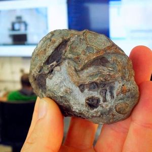 Egg photographed in the control room of the ESRF in France(Source:  Professor Julien Benoit)