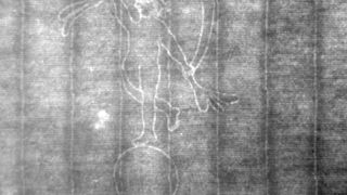 Typisches Wasserzeichen, wie es in den Papieren zu finden ist (Thermografie). (Bild: Fraunhofer WKI)