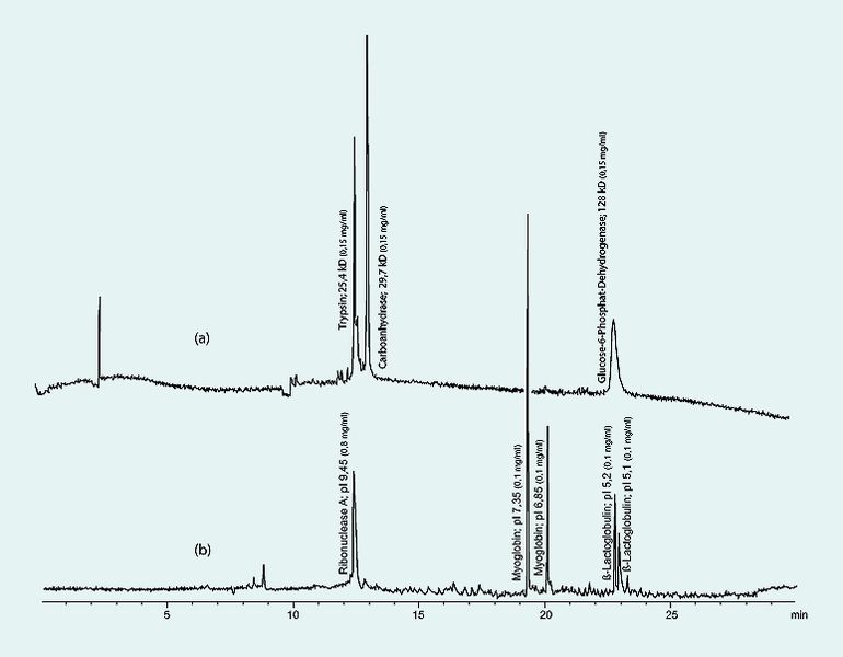 Abb. 1 Kapillar-Elektrophorese von Proteinmischungen: (a) CGEL-, (b) CIEF-Trennung. Die CIEF weist eine hervorragende Trennleistung auf. Deutlicher Nachteil ist die ungünstige Nachweisgrenze. (Archiv: Vogel Business Media)