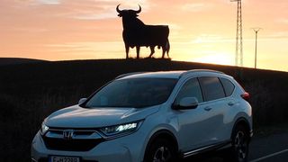 Honda stellte den CR-V Hybrid in der Nähe von Sevilla vor. Der Osborne-Stier darf da nicht fehlen. (»kfz-betrieb«/Jan Rosenow)
