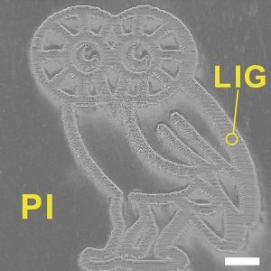 Image 2: This finely detailed Rice Owl was produced by burning a graphene foam pattern into a flexible polyimide sheet with a laser. The multilayered graphene that results from the process may be suitable for energy storage or electronics. The scale bar is 1 millimeter. (Bild: Tour Group/Rice University)