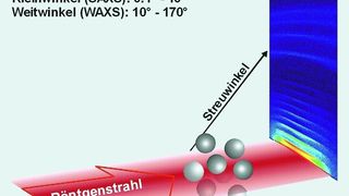 Abb. 1 Die Röntgen-Kleinwinkelstreuung (SAXS): Eine Nanomaterialien enthaltende Probe wird mit einem Röntgenstrahl bestrahlt. Die Röntgenstrahlen werden von den Partikeln in alle Richtungen gestreut und erzeugen ein Streubild (Streumuster) am Detektor. (Archiv: Vogel Business Media)