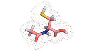 Molekülmodell von Acetylcystein – einem als Hustenlöser bekannten Wirkstoff. (© Tobias Dick/DKFZ)