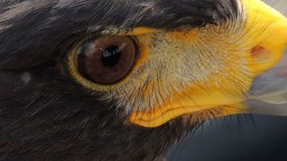  (Steve Houghton-Burnett/unplash/https://unsplash.com/photos/3jBbVKPwNHI/stats)