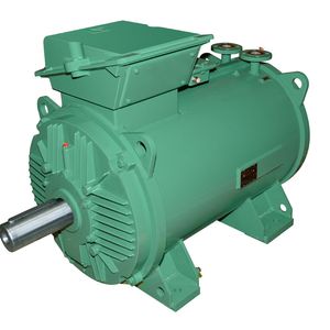 Das Modell LC 355 der flüssigkeitsgekühlten Imfinity-Motoren von Leroy-Somer.