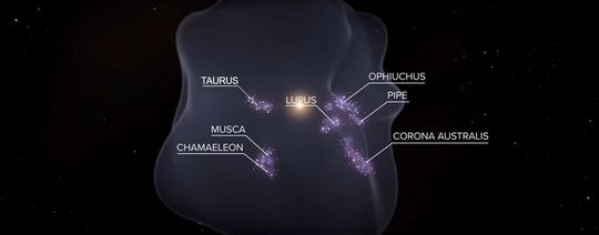 Künstlerische Darstellung der Lokalen Blase mit unserer Sonne in der Mitte – Die sieben markierten Molekülwolken gehören zu den am besten erforschten Sternentstehungsregionen in unserer Sonnenumgebung(Bild:  Leah Hustak, STScI)