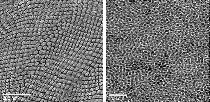 Electron micrograph images of membranes with ordered (left) and disordered (right) channel structures. (Reproduced with permission from reference 1 ©2018 Elsevier)