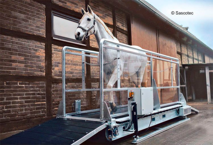 Pferde-Laufbänder mit Siemens-Technik – Für ein gezieltes Bewegungstraining von Pferden fertigt die Firma Sascotec Pferde-Laufbänder. Um die sogenannten Horsetrainer auch als Pay-per-Use-Variante vermarkten zu können, setzt das Unternehmen für die Kommunikation, die drahtlose Datenübermittlung und die Antriebssteuerung auf Lösungen von Siemens. (Sascotec)