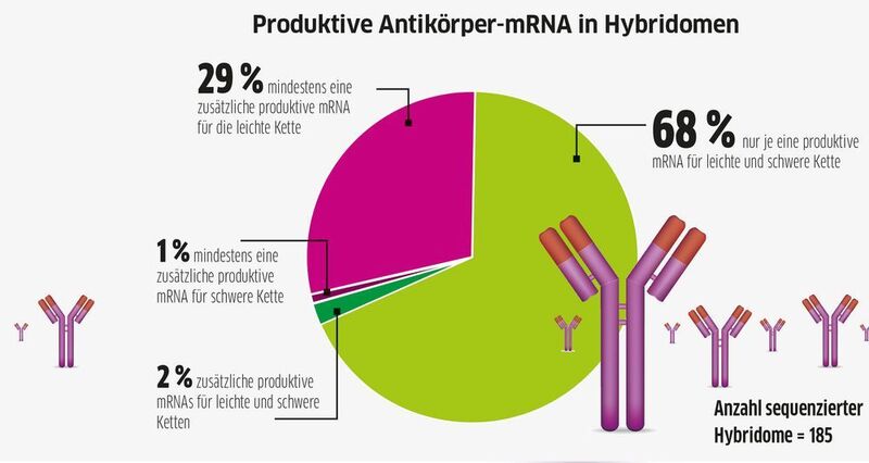 Abb. 1: Genetische Heterogenitäten der Immunglobulin-mRNAs von 185 sequenzierten Hybridomklonen. (Quelle: Dübel / TU Braunschweig; Grafik: LABORPRAXIS; Bild: © extender_01 - stock.adobe.com)