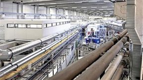 Das Röntgenbild der Mausniere entstand an der Forschungsanlage P05 des Hereons am DESY in Hamburg, was hochintensive Röntgenstrahlung biologische und medizinische Proben in hoher Auflösung sichtbar macht. (Bild: Hereon/Torben Fischer)