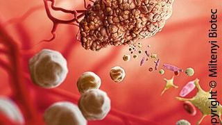 Miltenyi Biotecs FFPE Tissue Dissociation Kit  (Miltenyi Biotec )